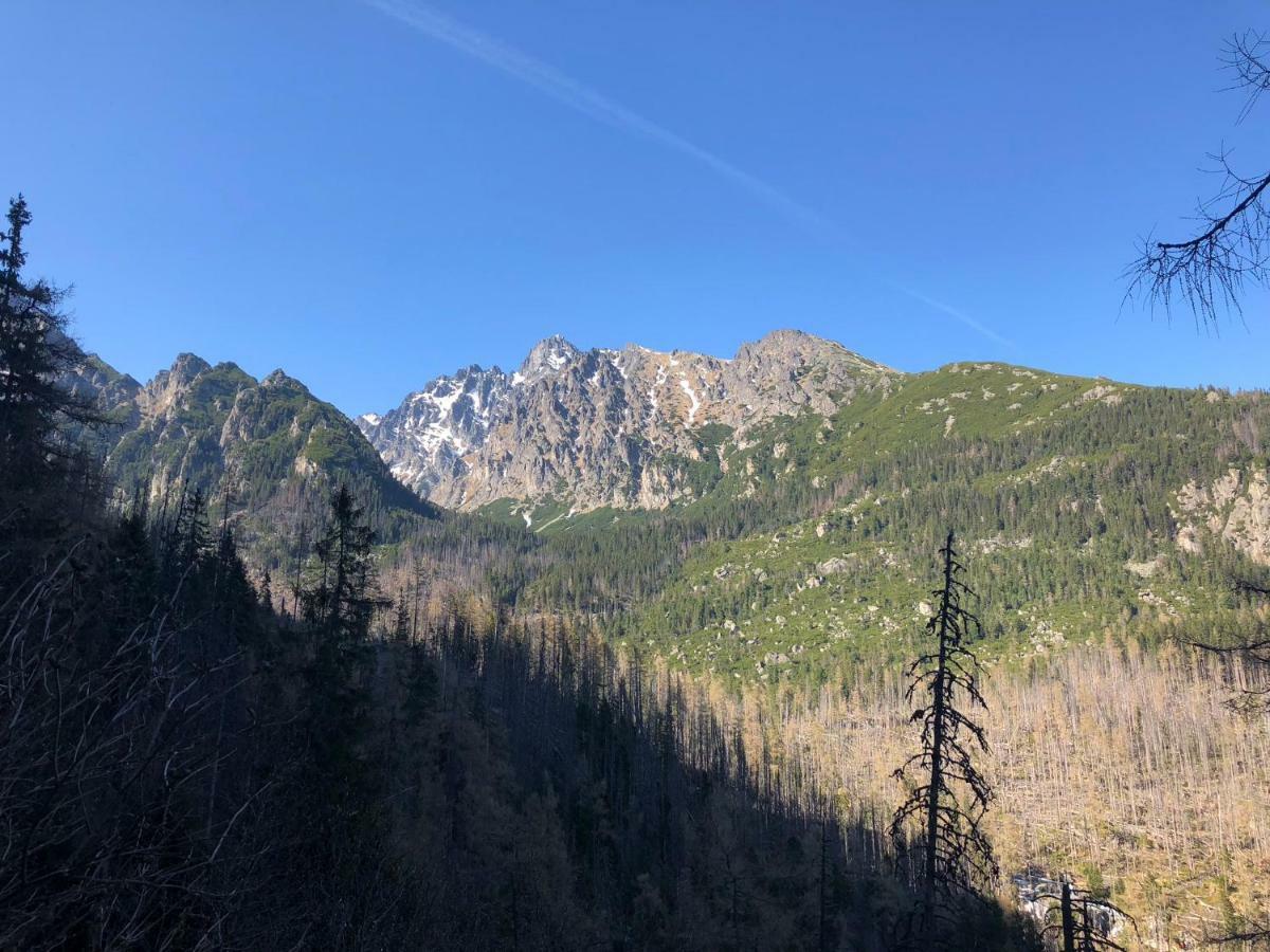 Vila Horec, Vysne Hagy Vysoké Tatry المظهر الخارجي الصورة